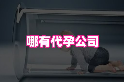 长春助孕网站 1